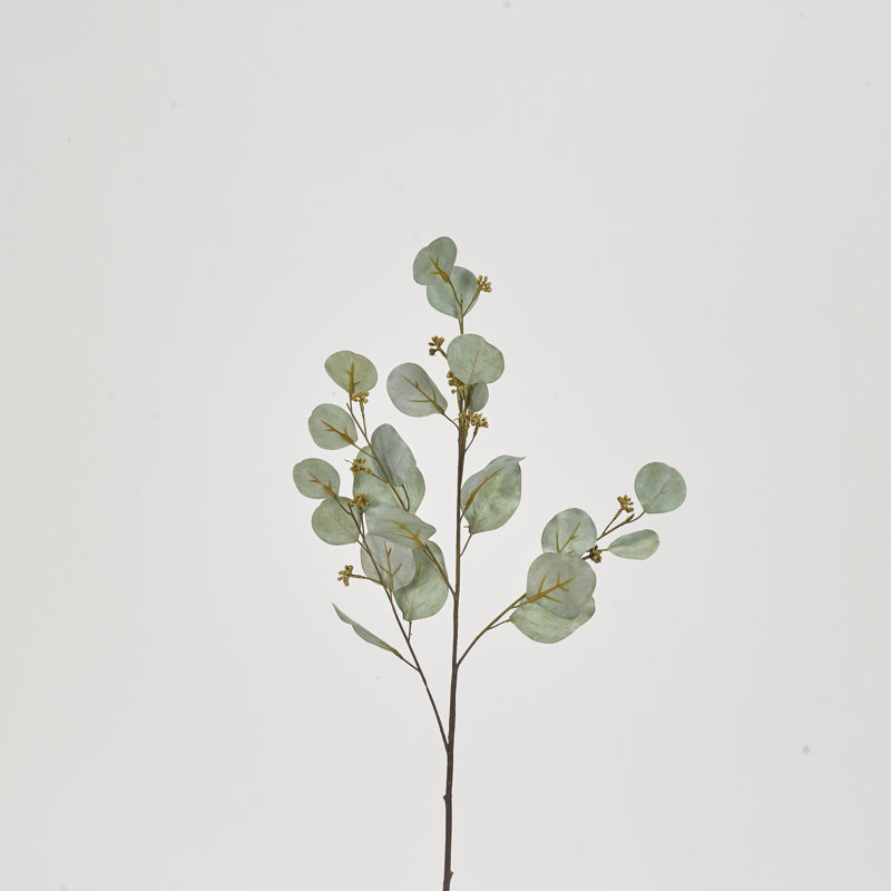 Branche d'eucalyptus Winnetka