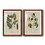 Lin et feuilles III - ensemble de 2 reproductions d'art sur papier encadré-151087580-151087577