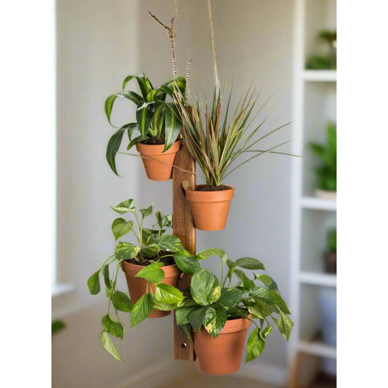 Support à plante suspendu 4 pots avec chaîne