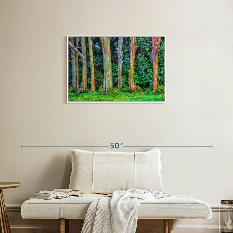 Eucalyptus arc-en-ciel, Cadre flottant blanc, 31 po x 21 po