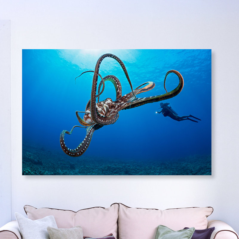 «Diver and an Octopus» par David Fleetham - reproduction de photo sur toile tendue, H 24 po x l 36 po, Cadre doré