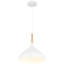 Luminaire suspendu 1 lumière Rosealina-1233928298