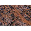 JeVon Wool Oriental Indoor Rug