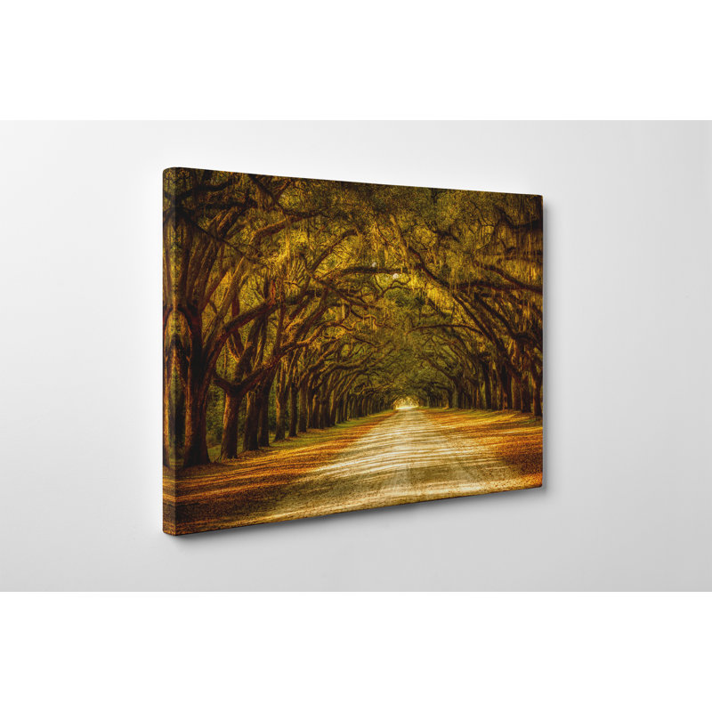 Impression sur toile tendue, H 16 po x l 20 po x P 1 po