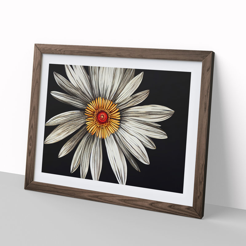 Flourishing Daisy Flower 1 Piece Single Picture Frame Wall Art, 34cm H x 46cm W x 2cm D, Walnut