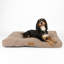 Scruffs Seattle - Luxury Dog Bed Mattress-92663479-92663481