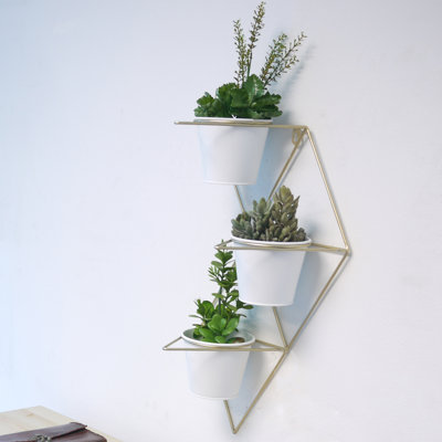 Wall Planter