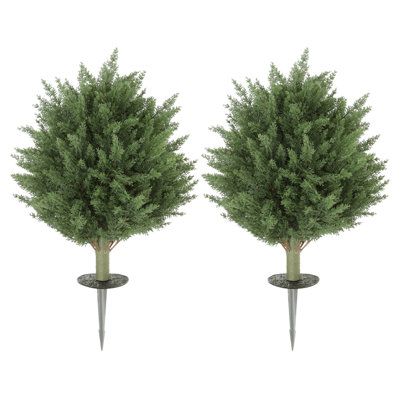 60cm Plant