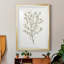 " Single Sprig III "-2095259312-2095259319