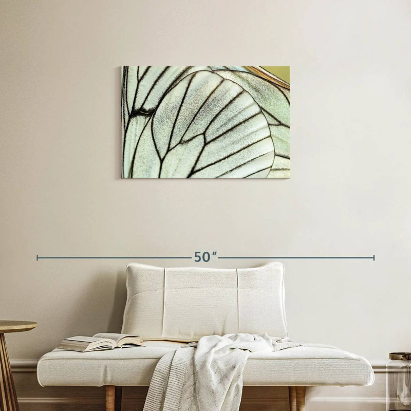 Brampt Simple Butterfly Wings, 20" H x 30" W