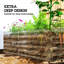 Lit de jardin surélevé galvanisé 6 pi x 3 pi x 2 pi, effet bois clair-1627556098