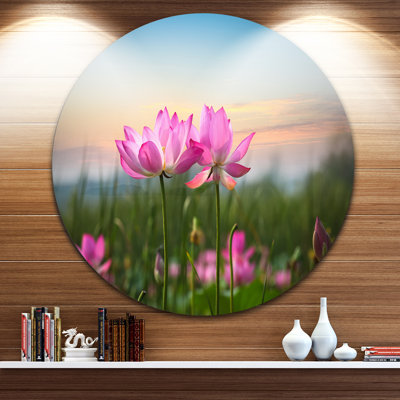«Blooming Lotus Flowers at Sunset», photographie