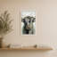 Vache Highland-276928945-276928950
