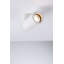 Flush Mount-70211944