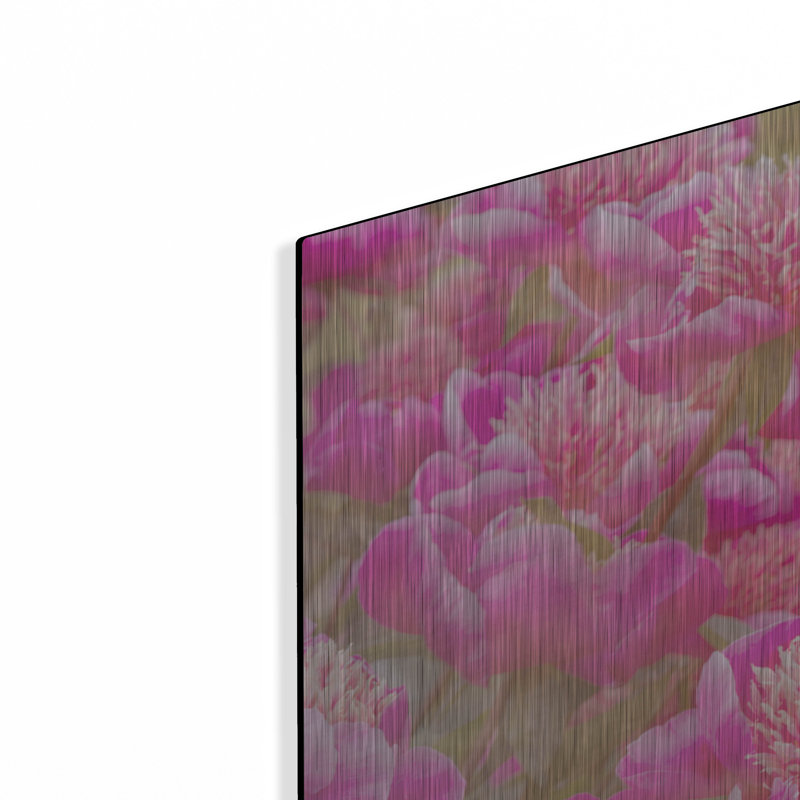 «Pinks» par Dennis Frates, H 24 po x l 36 po