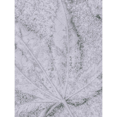 1 Piece Wrapped Canvas Wall Art