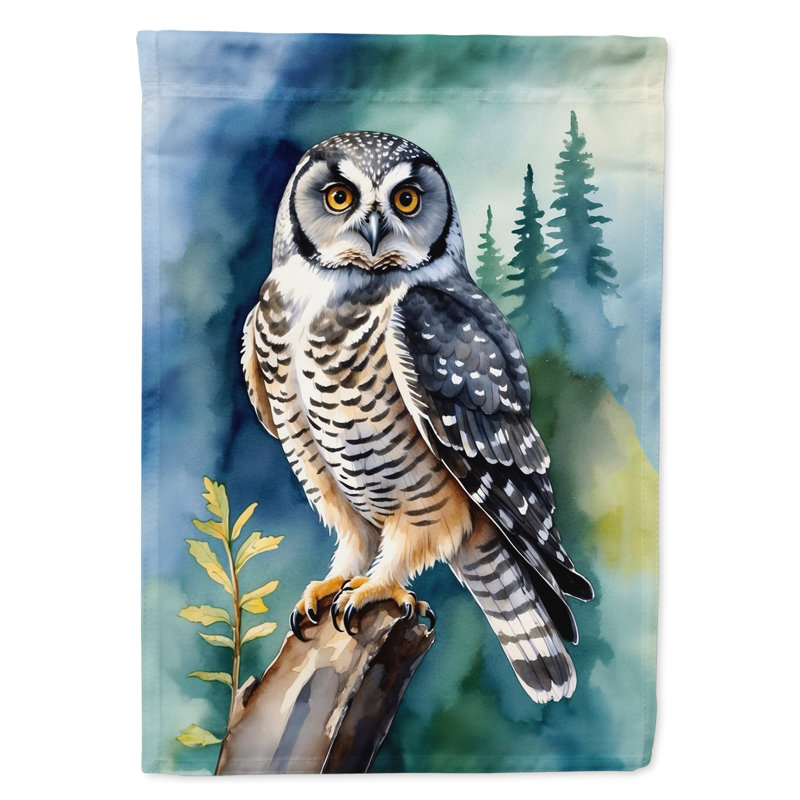 Drapeau de jardin, Northern Hawk Owl