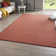 Casual Red Rug