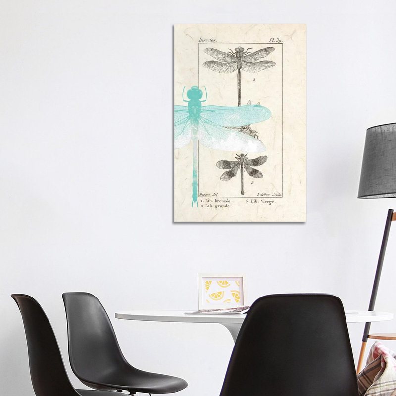 Field Guide I by Kimberly Allen - Print on Canvas, Wrapped Canvas, 101.6cm H x 66.04cm W x 3.81cm D