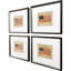 American Flags II Framed Art