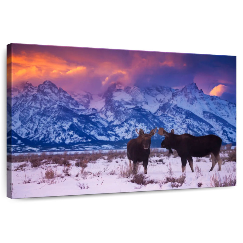 Moose Tandem, 26" H x 39" W
