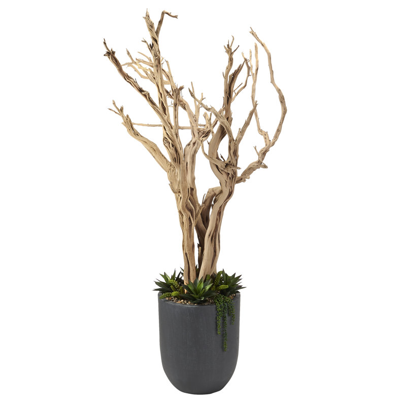 Faux Succulent Tree in Planter