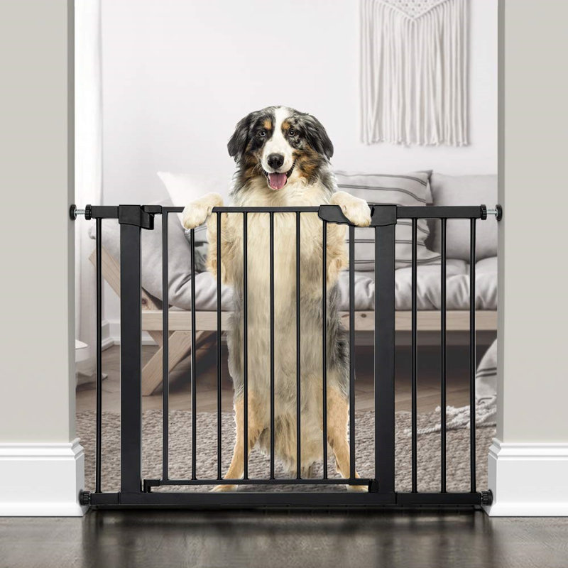 Barrière pour animaux 30 po, Noir