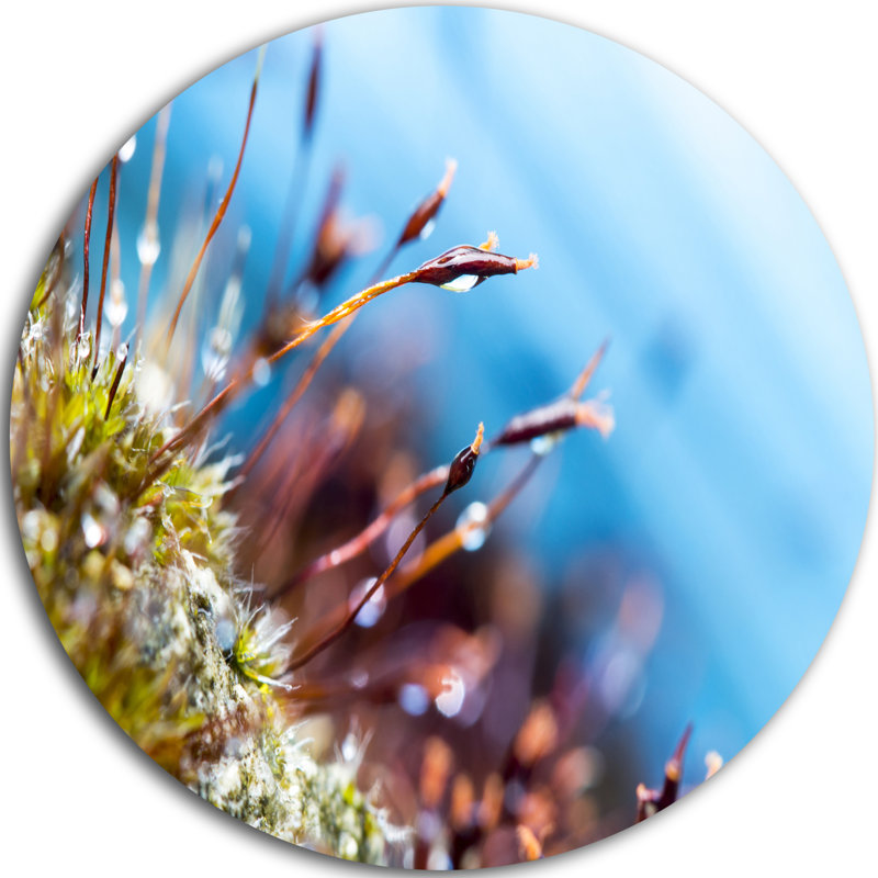 « abstract moss fleurs », impression, H 36 po x l 36 po x P 1 po, Métal