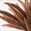 Dried Flower Bunch-119034006-119034007
