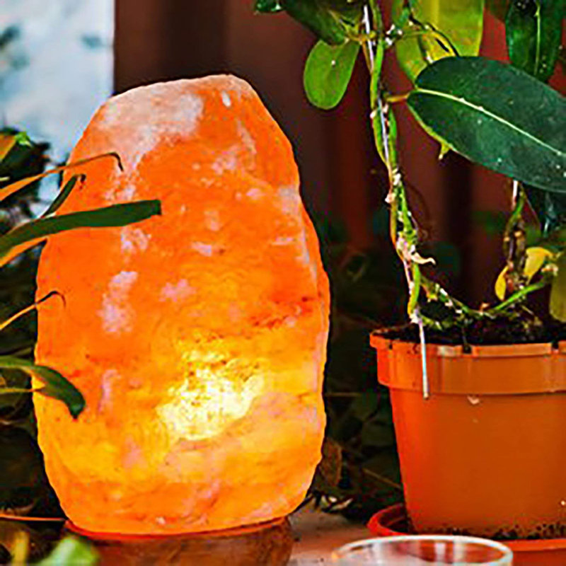 Lampe de sel de l'Himalaya naturelle sculptée à la main Banbury Himalayan Glow, orange / ambre