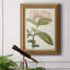 Toile encadrée de qualité supérieure Antique Botanical Collection VI - prête à être accrochée-1344185824