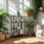 Anaysha Bookcase-1343968591