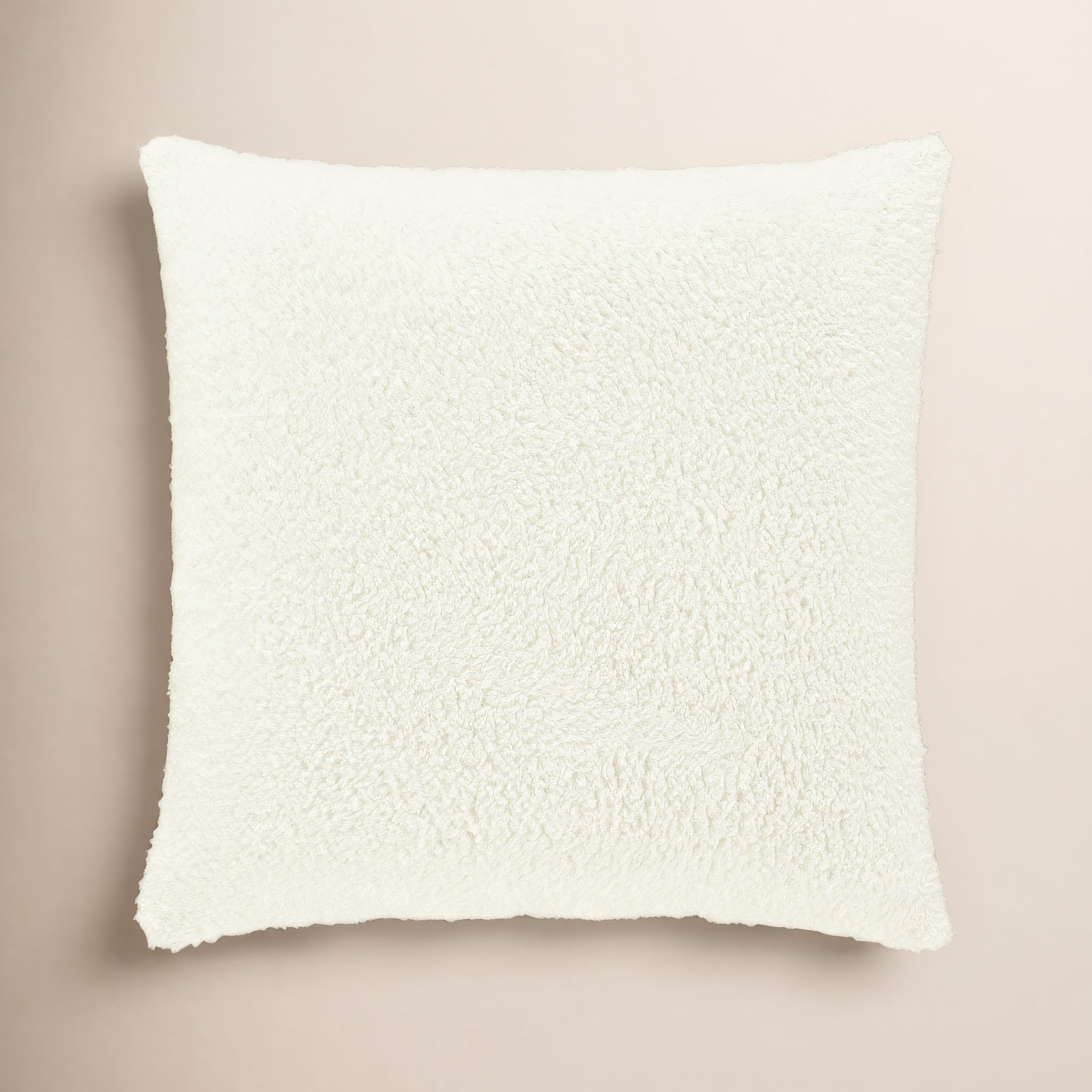 Everett 20" x 20" Throw Pillow, Beige