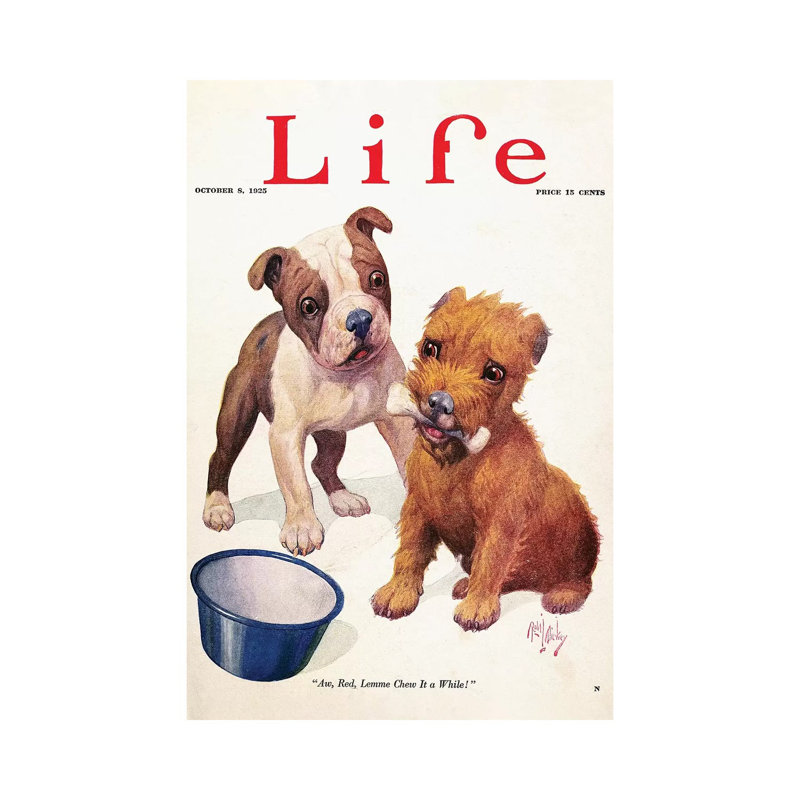 Magazine: Life, 1925 - Wrapped Canvas Print, 20.32 cm H x 30.48 cm W