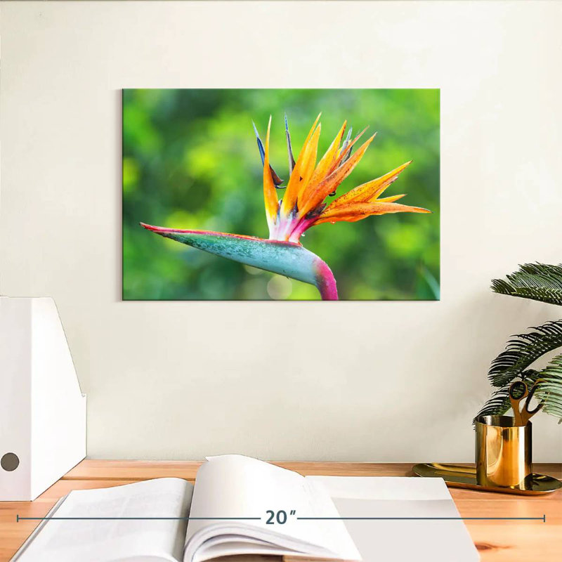Fleur de l'oiseau du paradis, H 8 po x l 12 po