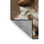 Tapis lavable pour chien Clumber Spaniel-144617559