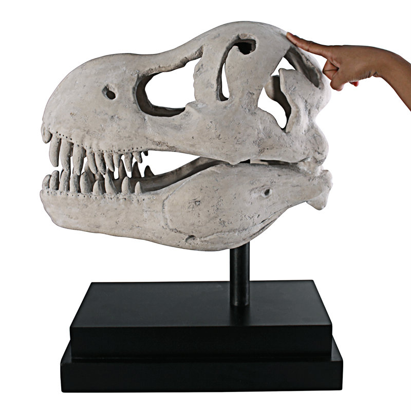 T-Rex Dinosaur Skull Fossil on Museum Mount Statue