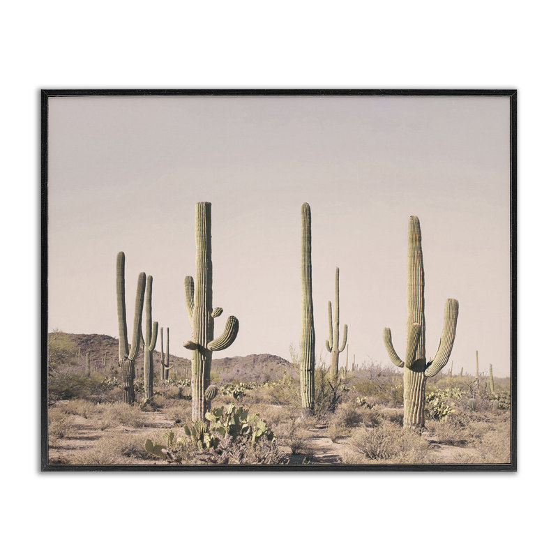 Art de giclée sur fond de cactus rosé par Sissi et Seb, Giclée encadrée noir minuit, H 24 po x l 30 po