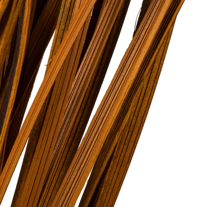 Primrue 28" Splinter Grass, 11 oz Bundle, Dried, Aspen Gold