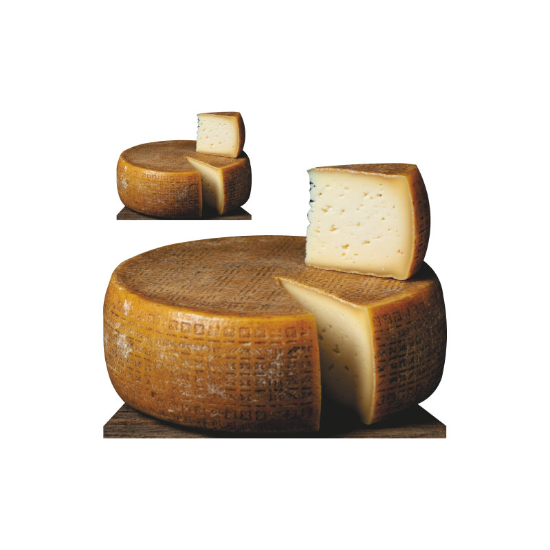 Roue de fromage SP13352