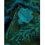 Fine Vibrance One-of-a-Kind 2'8" X 4'1" Hand Knotted Area Rug