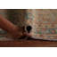 Tapis brun 10 x 13