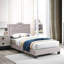 Lit Foster-712688605-712688604