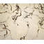 Scribbled Print by Chelsea Art Studio-25707119-25707114