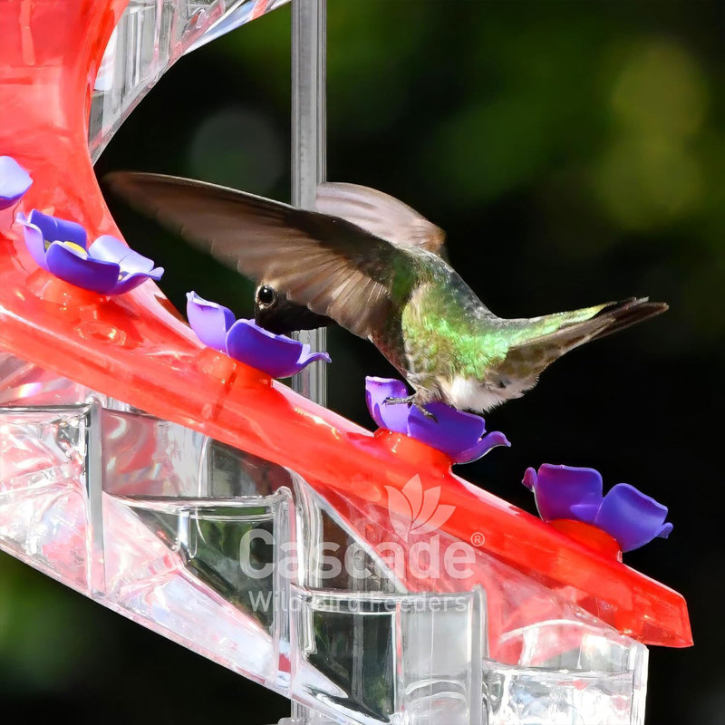 Cascade Wild Bird Feeders Outdoor Hummingbird Feeder, 16 Port Helical Design