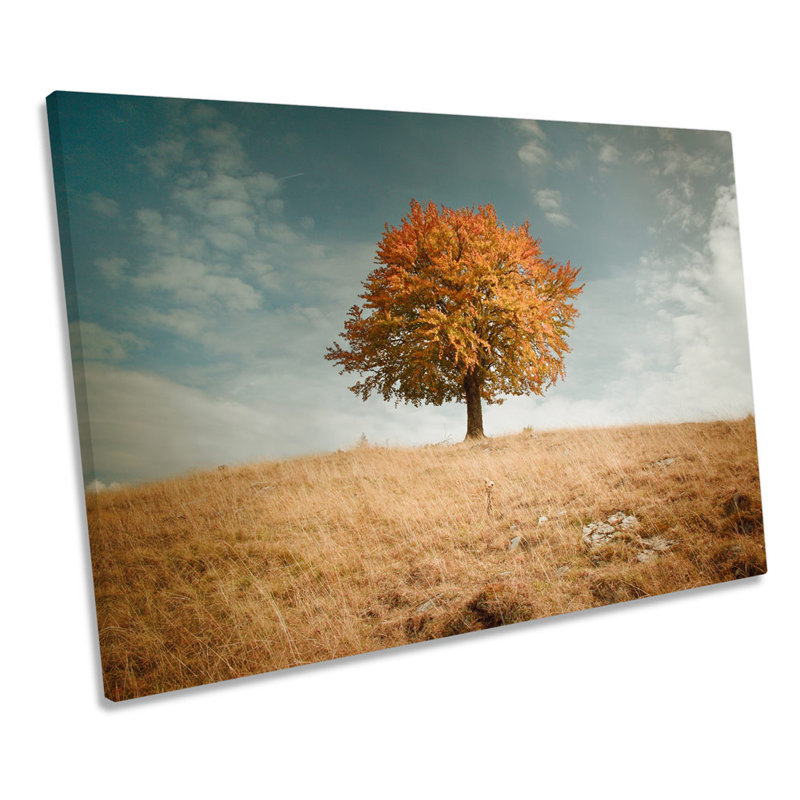 Lone Autumn Tree Landscape - Wrapped Canvas Print, 30.5cm H x 45.7cm W x 2cm D