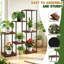 5 Tier Plant Stand