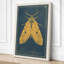 Golden Moth Study Botanical - Wrapped Canvas-628545018-628545021
