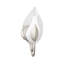 Blossom 1 - Light Armed Sconce