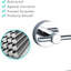 Shanley Wall Mounted Toilet Paper Holder